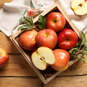 명천농장-홍천군 인삼, 사과 직거래 ,(못난이상품)[산지직송] 홍천 햇사과 가정용 2kg, 5kg 10kg